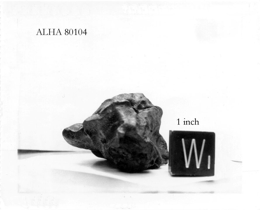 alha80104w.jpg