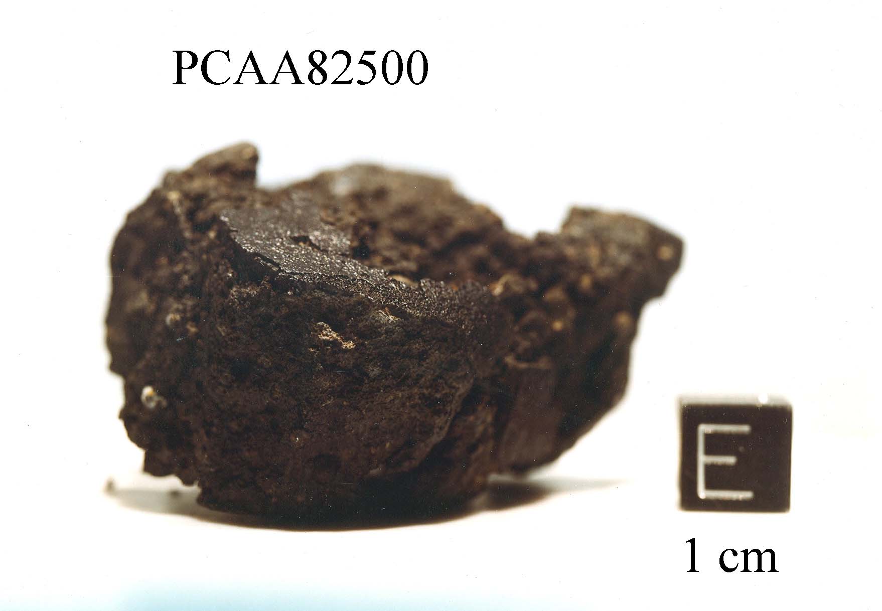PCAA82500B.jpg