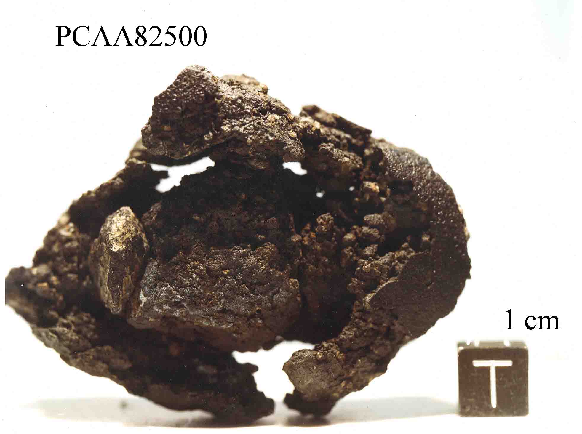 PCAA82500F.jpg