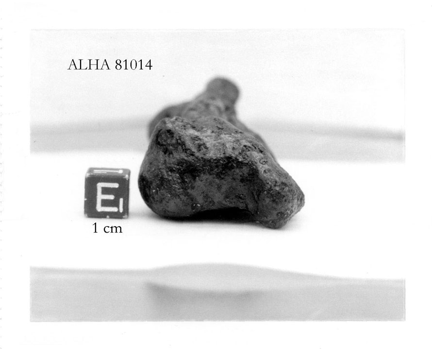 alha81014e.jpg