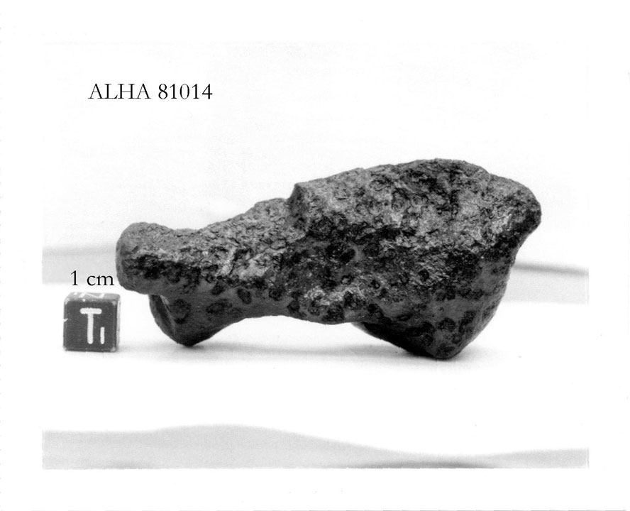 alha81014t.jpg