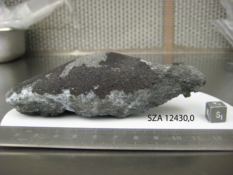 sza12430,0s.jpg