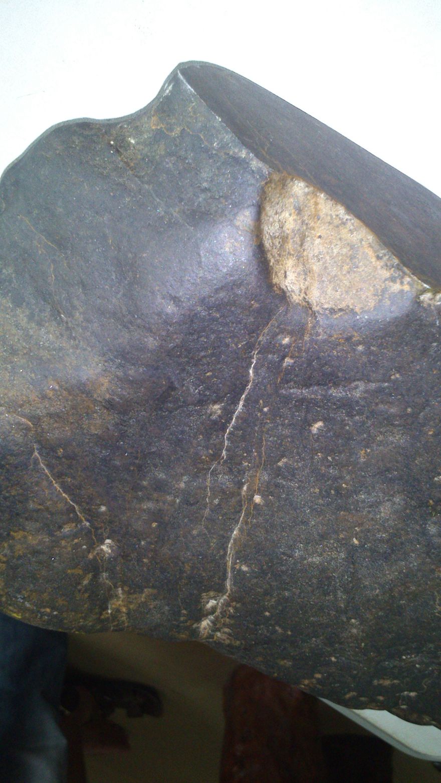 DSC_0304.jpg