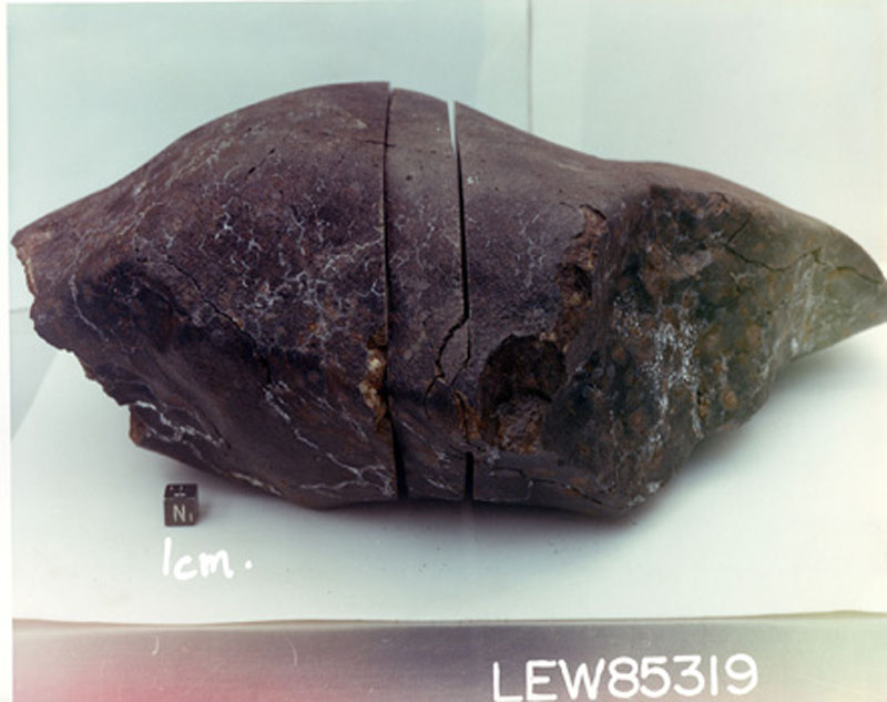 LEW85319A.jpg