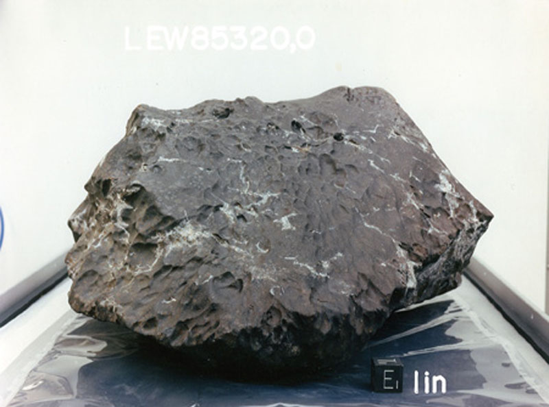 LEW85320L.jpg
