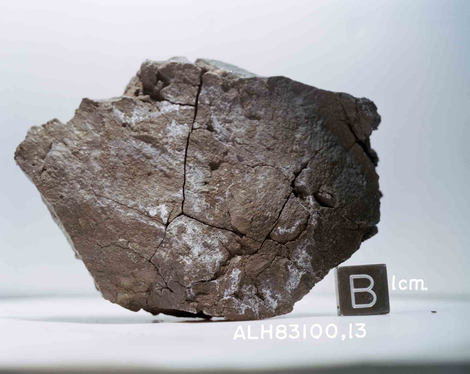 ALH83100s86-27653).jpg