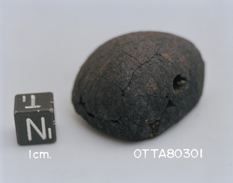 OTTA80301(S81-41571).jpg
