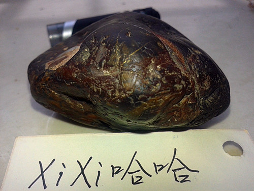 20140609_133957_副本.jpg