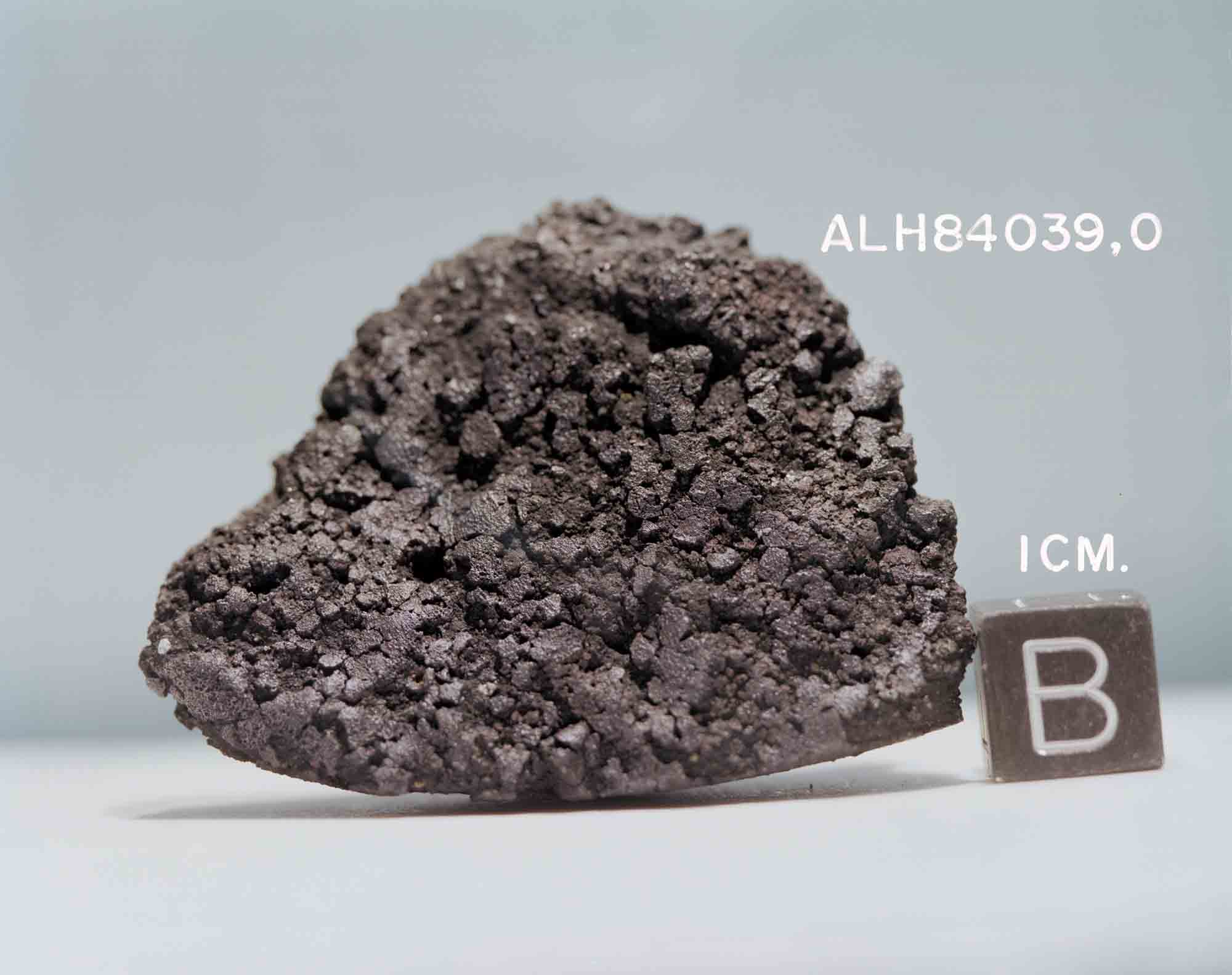 南极碳质球类陨石 ALH 84039 CM2 