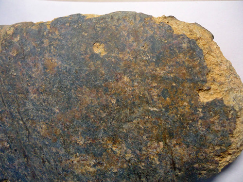 DSC01577_副本.jpg