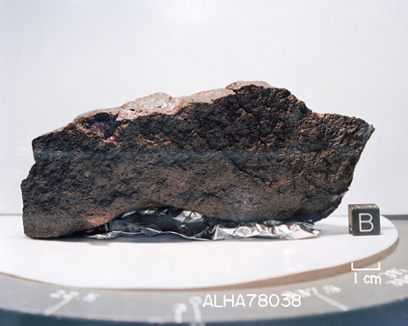 ALHA78038(S80-29779).jpg