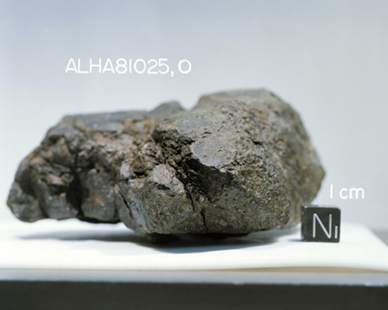 ALHA81025(S83-25177).jpg