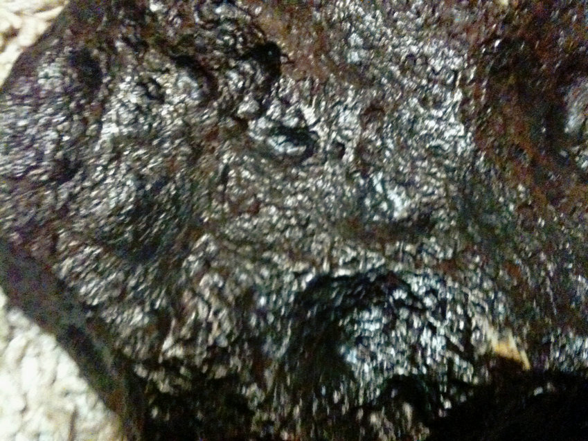 照片 002.jpg