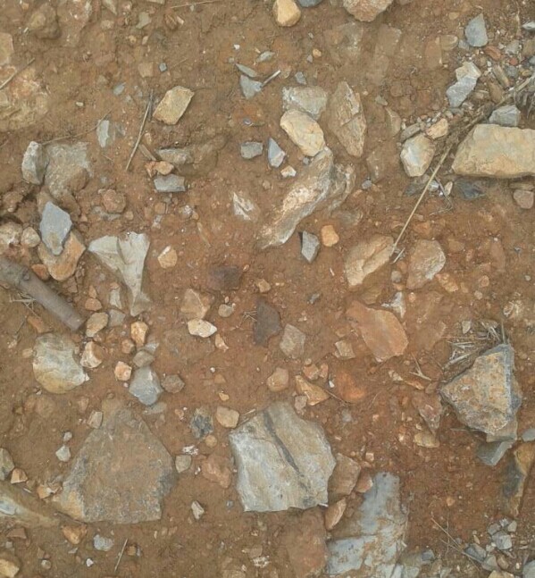 QQ图片20140726105430.jpg