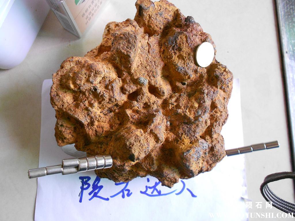 DSCN1067.JPG