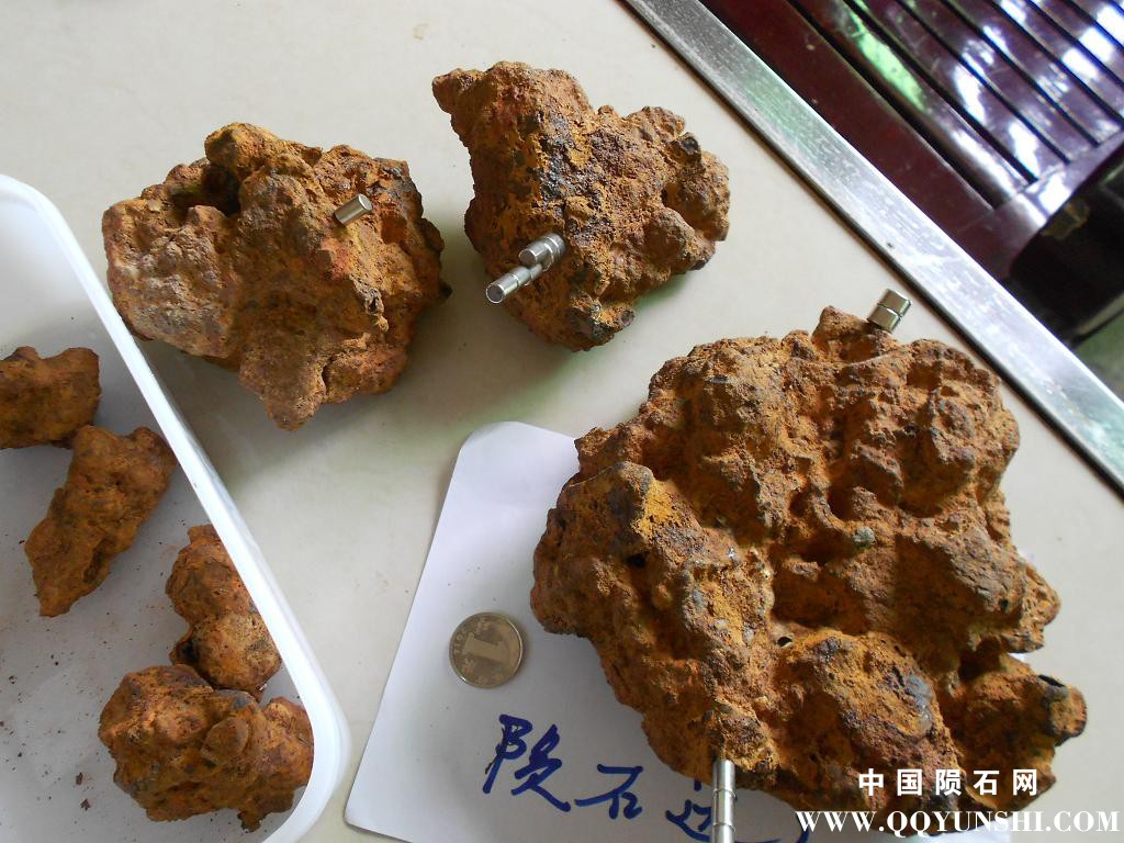DSCN1073.JPG