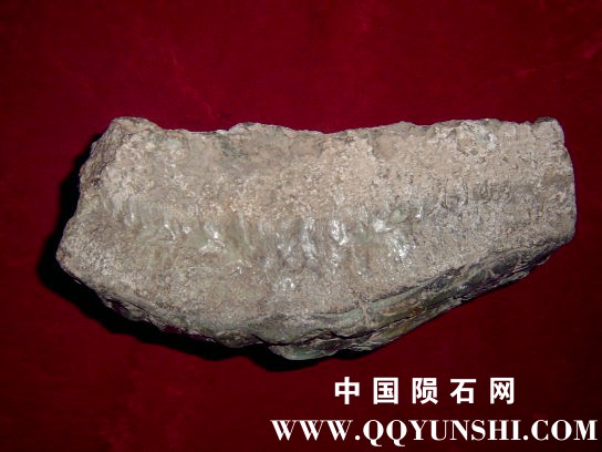 上面