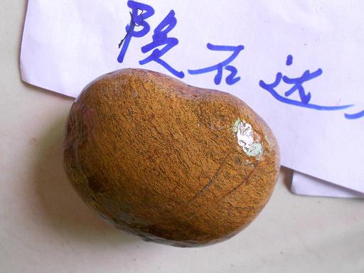DSCN1093.JPG