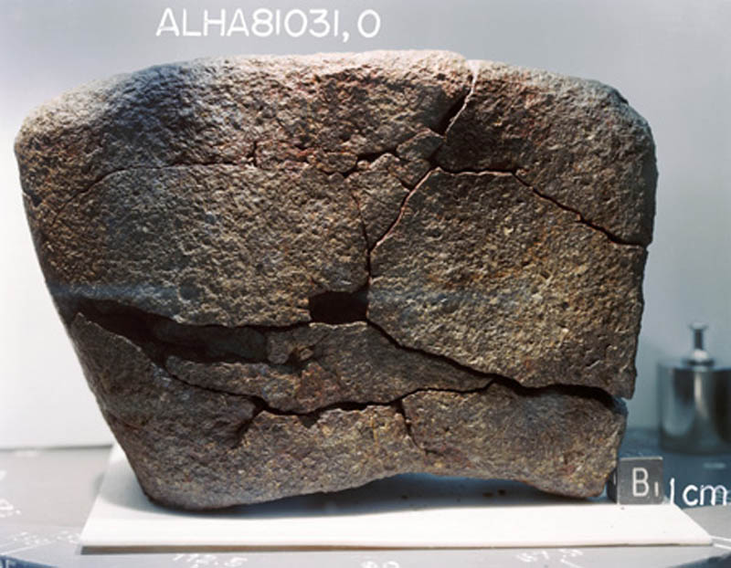 ALHA81031(S82-39569).jpg