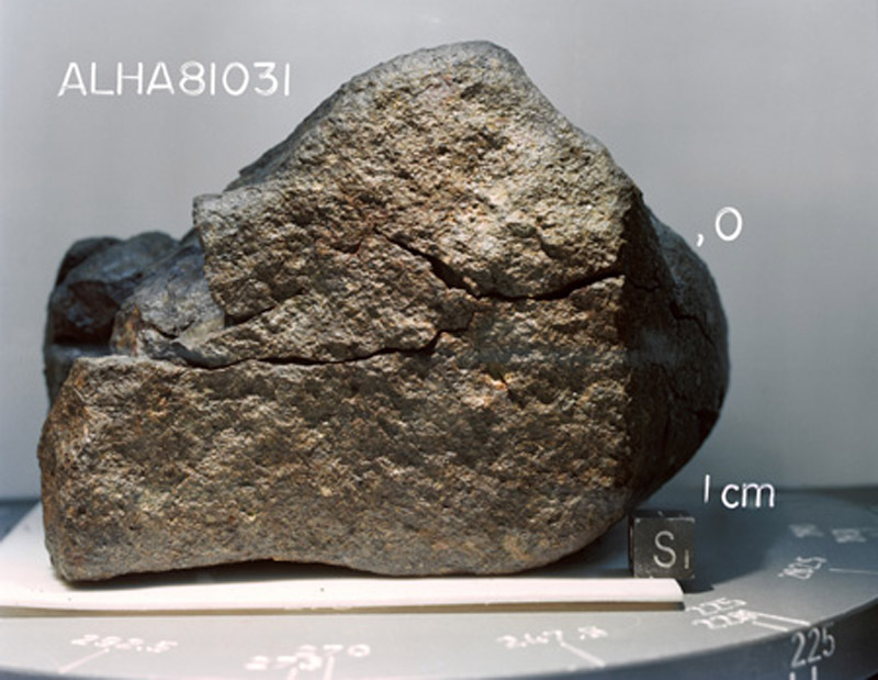 ALHA81031(S82-39571).jpg