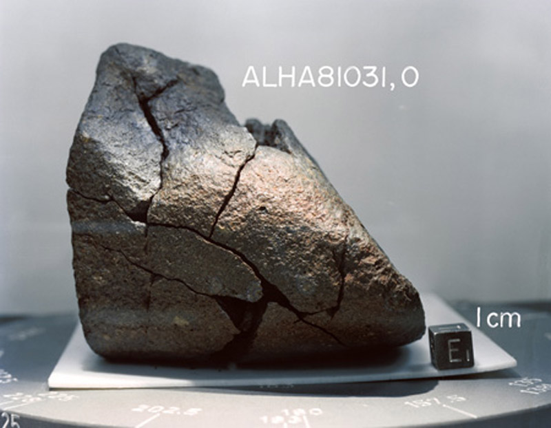 ALHA81031(S82-39573).jpg