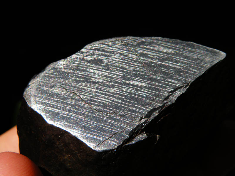 DSCN1959.jpg