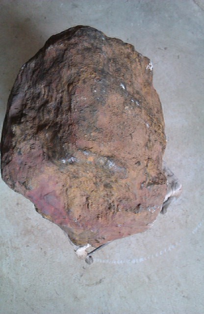 IMAG0176.jpg