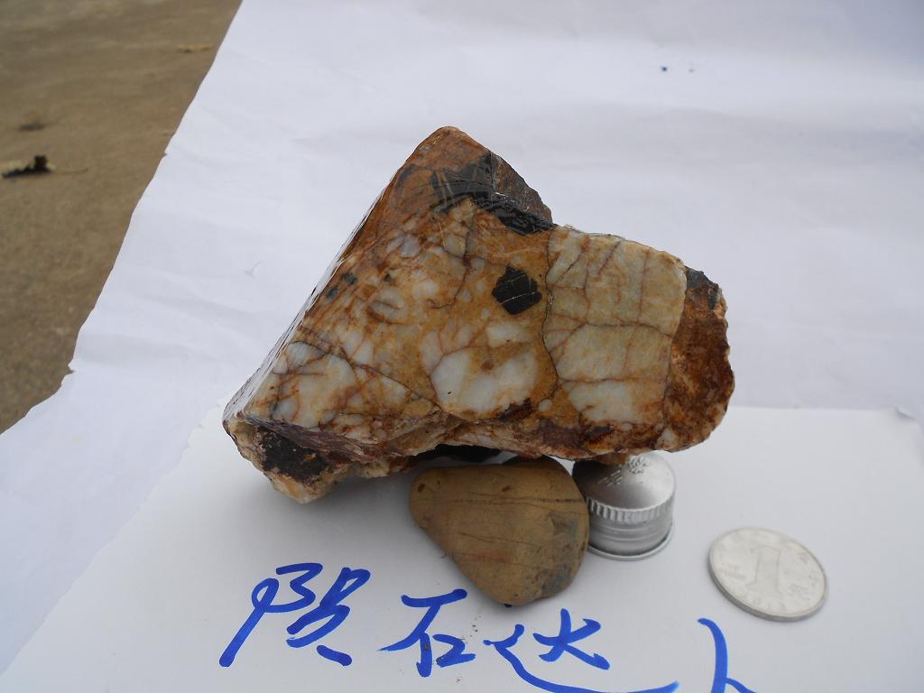 DSCN1153.JPG