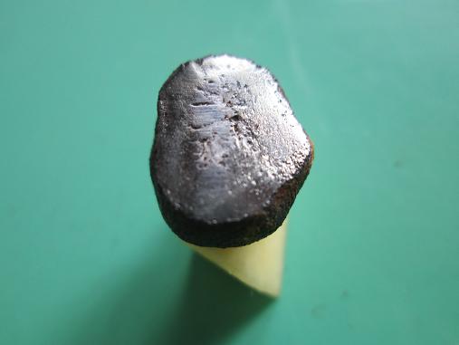 照片 009.jpg