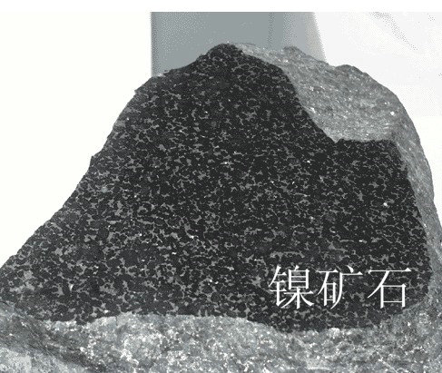 2495350179.jpg