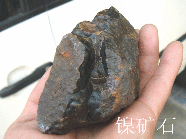 tc85444-img600x450-1204656540_j____01_2-10.gif
