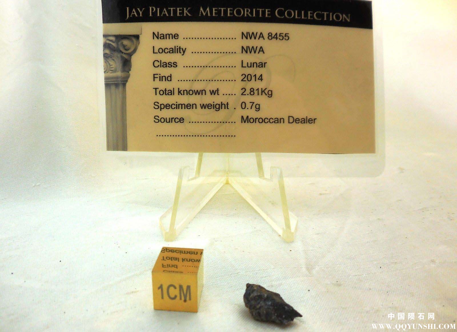 nwa 8455 f.jpg