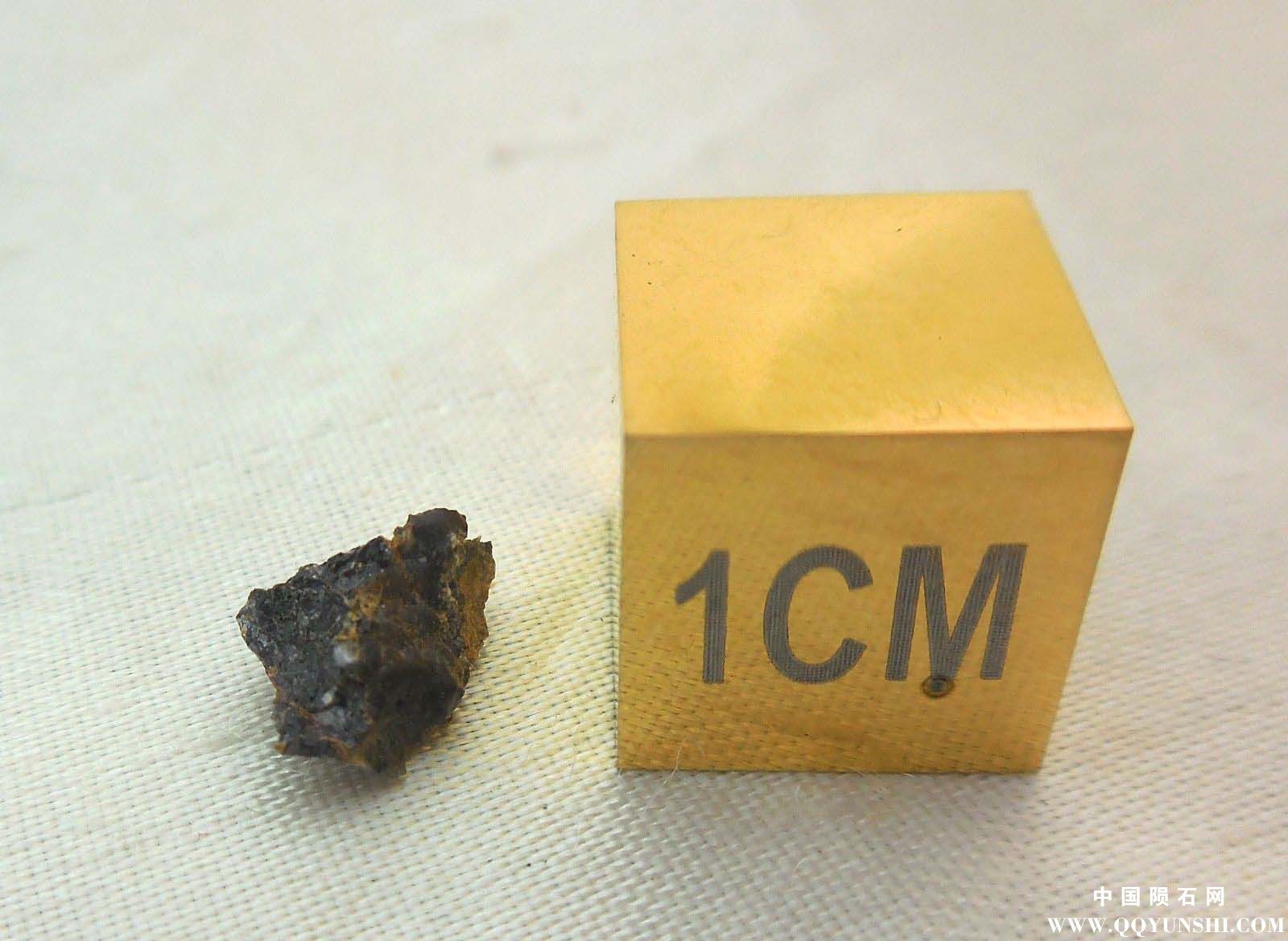 nwa 8455 g.jpg