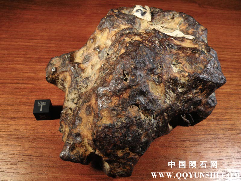 DSCN6257.jpg