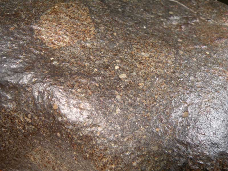 DSCN6229.jpg