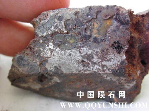 CIMG4186_副本.jpg