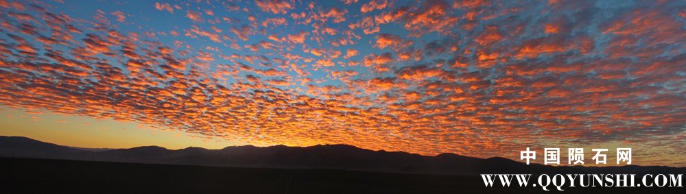 chile20139.jpg