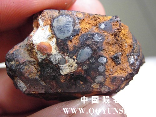 CIMG4243_副本.jpg