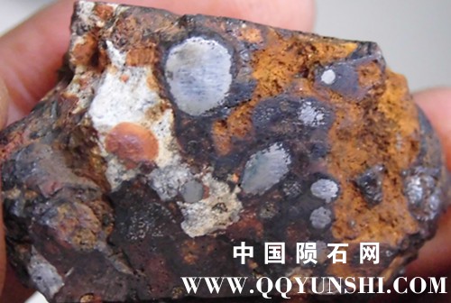 CIMG4272_副本.jpg