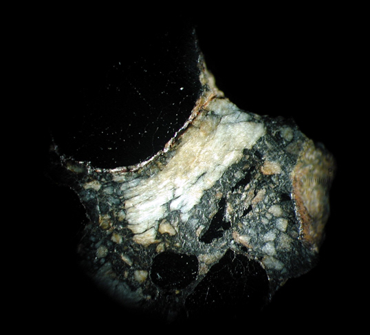 11449_19905_2776.jpg