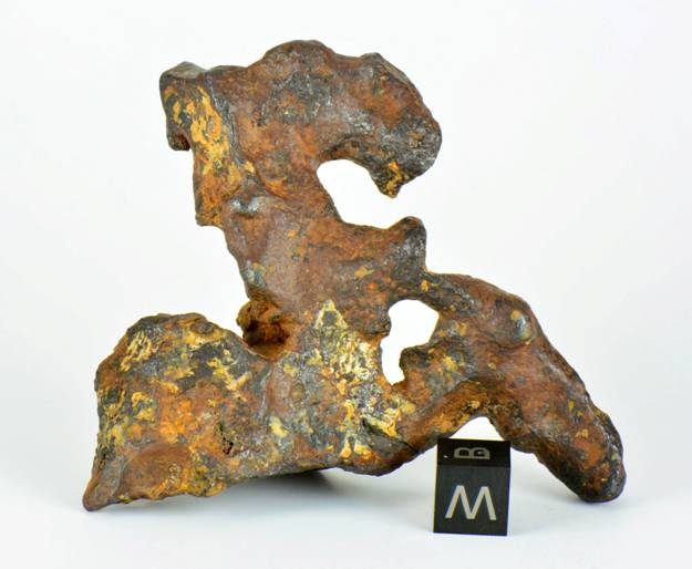 clip_image003.jpg