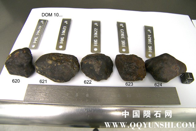 dom10620-LL3.6.jpg