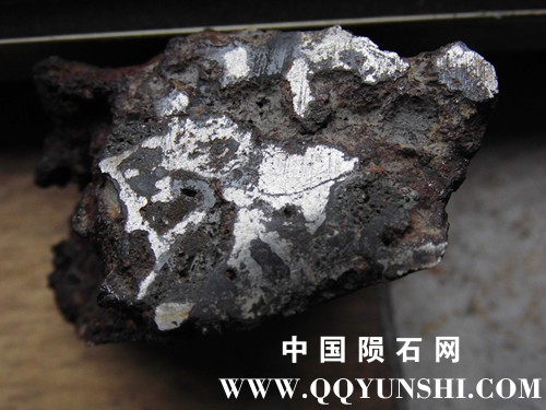 CIMG4597_副本.jpg