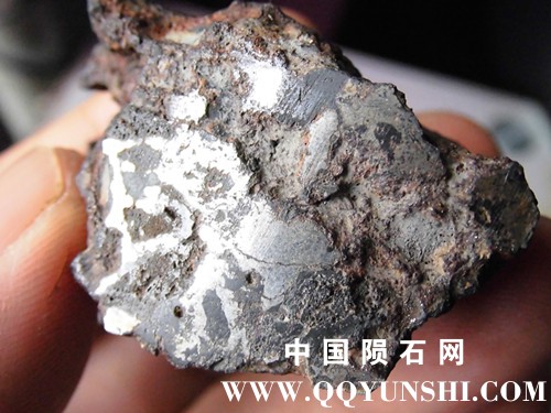 CIMG4620_副本.jpg