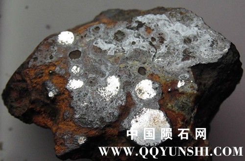 CIMG4677_副本.jpg