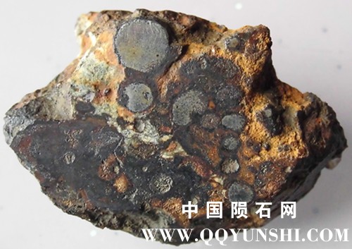 CIMG4681_副本.jpg
