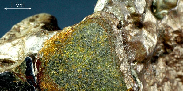 olivine in meteorite 597.jpg