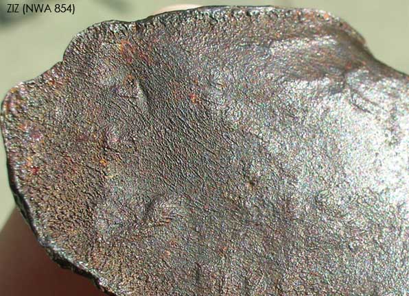 Ziz Eisenmeteorite NWA 854 - 173g rear .jpg