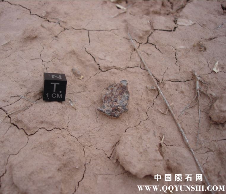 Holbrook2014-044-2.9克.jpg