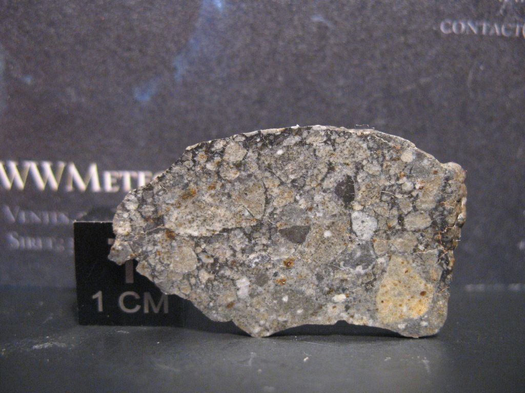 nwa 8455 1.jpg